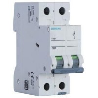 Double Pole MCB 32 Amp  B Betagard 5SL6